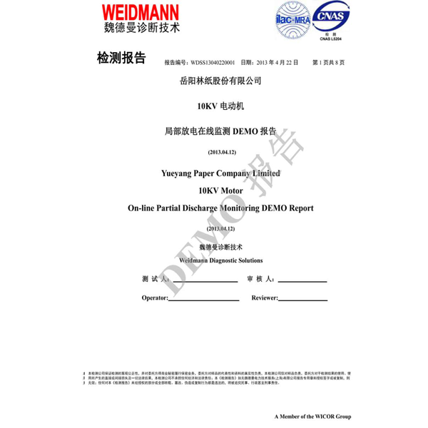 岳阳纸业10KV电动机局部放电在线监测报告